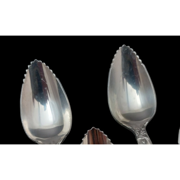 Michael Lloyd Stainless MLL2 Fruit Spoons Set Of 12 - Picture 3 of 4